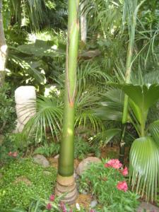 IMG_9627_smaller.JPG